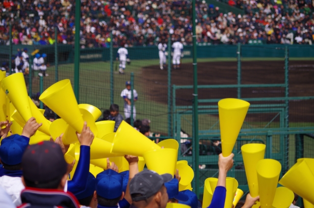 第９８回全国高校野球選手権大会詳細